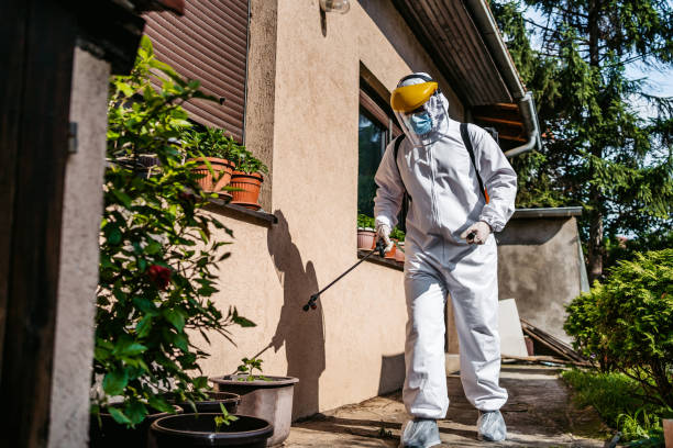 Best Pest Removal Services  in North Haverhill, NH