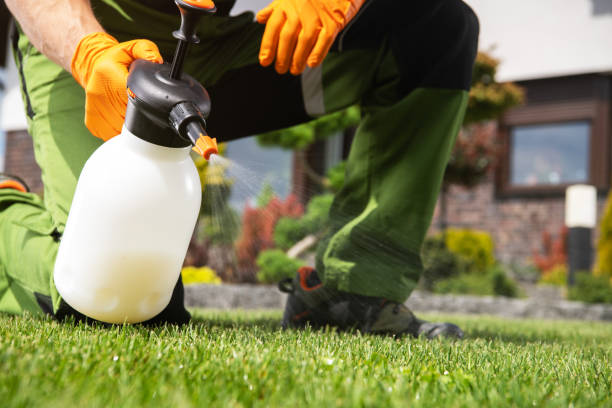 Best Residential Pest Control  in North Haverhill, NH