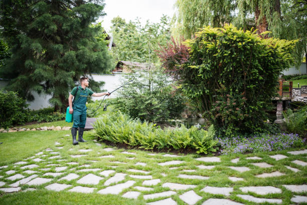 Best Bird Control  in North Haverhill, NH